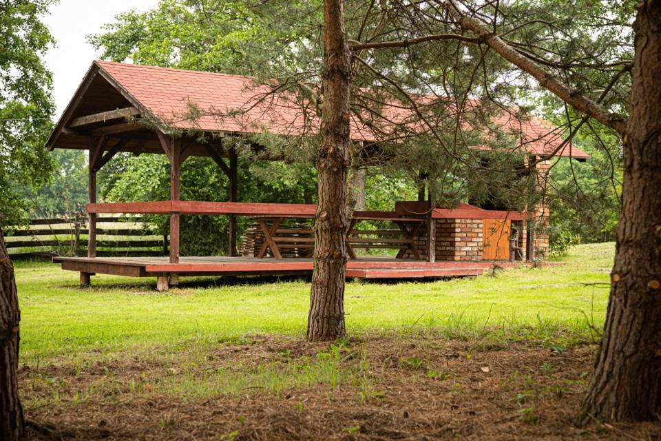 U Sosenki Vila Morzecin Maly Exterior foto