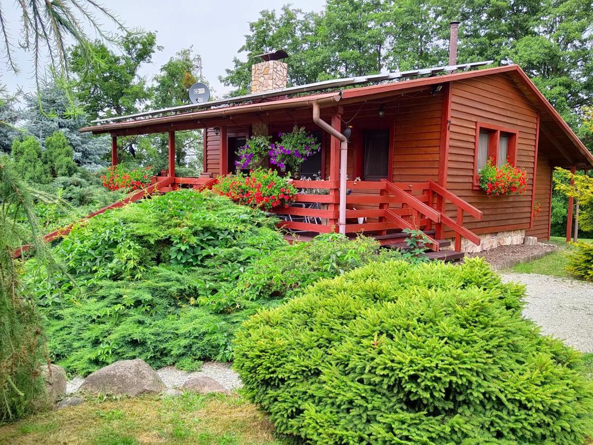 U Sosenki Vila Morzecin Maly Exterior foto